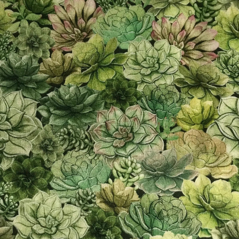 Fenny Succulents Beeswax Wrap