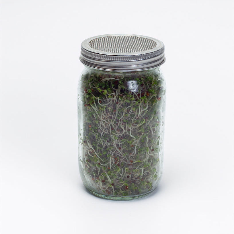 Micro Greens Sprouting Kit